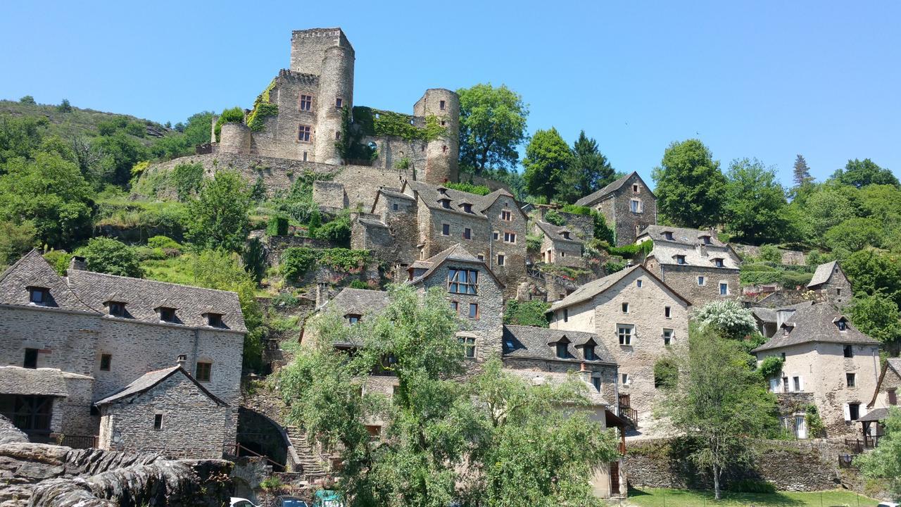 Le Vieux Pont Belcastel (Aveyron) Exterior foto
