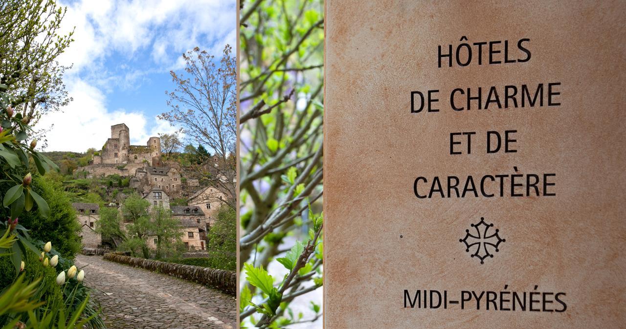 Le Vieux Pont Belcastel (Aveyron) Exterior foto